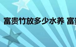 富贵竹放多少水养 富贵竹水养多少支最吉利