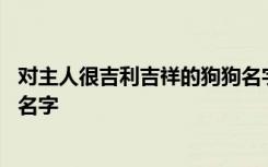 对主人很吉利吉祥的狗狗名字 关于对主人很吉利吉祥的狗狗名字