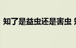 知了是益虫还是害虫 知了属于益虫还是害虫