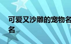 可爱又沙雕的宠物名字大全 比较好听的宠物名