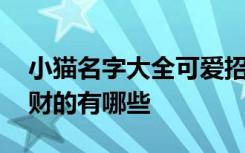 小猫名字大全可爱招财 小猫名字大全可爱招财的有哪些