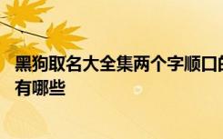 黑狗取名大全集两个字顺口的 黑狗取名大全集两个字顺口的有哪些