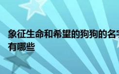 象征生命和希望的狗狗的名字 象征生命和希望的狗狗的名字有哪些