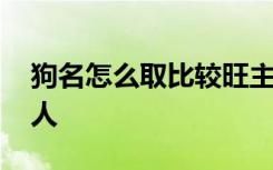 狗名怎么取比较旺主人 狗名如何取比较旺主人