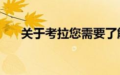 关于考拉您需要了解的9件无聊的事实