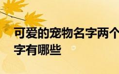 可爱的宠物名字两个字 可爱的宠物名字两个字有哪些