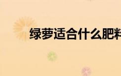 绿萝适合什么肥料 绿萝适合啥肥料