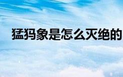 猛犸象是怎么灭绝的 猛犸象是如何灭绝的