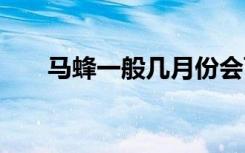 马蜂一般几月份会飞走 马蜂相关介绍