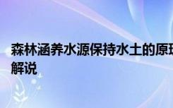 森林涵养水源保持水土的原理 森林涵养水源保持水土的原理解说