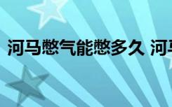 河马憋气能憋多久 河马憋气可以憋多长时间