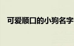 可爱顺口的小狗名字 比较好听的狗狗名字