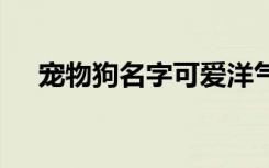 宠物狗名字可爱洋气 宠物狗名字萌萌哒