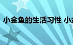 小金鱼的生活习性 小金鱼的生活习性有哪些