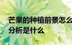 芒果的种植前景怎么样 芒果种植的成本利润分析是什么