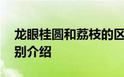 龙眼桂圆和荔枝的区别 龙眼桂圆和荔枝的区别介绍