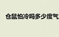 仓鼠怕冷吗多少度气温合适 仓鼠怕不怕冷