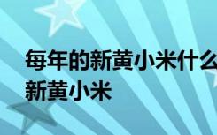 每年的新黄小米什么时候上市 什么时候上市新黄小米