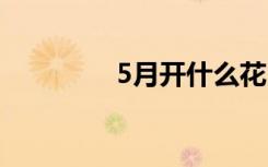 5月开什么花 5月开哪些花