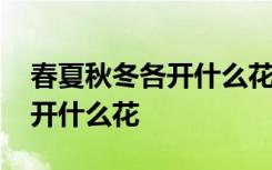 春夏秋冬各开什么花 春夏秋冬各季节分别都开什么花