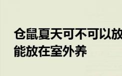 仓鼠夏天可不可以放在室外养 仓鼠夏天能不能放在室外养