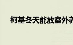 柯基冬天能放室外养吗 柯基冬天怎么养