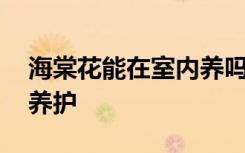 海棠花能在室内养吗 海棠花可不可以在室内养护