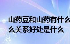 山药豆和山药有什么关系 山药豆和山药有什么关系好处是什么