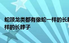 蛇颈龙类都有像蛇一样的长脖子吗 蛇颈龙类是否都有像蛇一样的长脖子