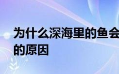 为什么深海里的鱼会发光 深海里的鱼会发光的原因