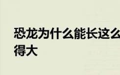 恐龙为什么能长这么大 什么原因导致恐龙长得大