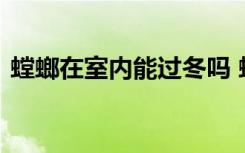 螳螂在室内能过冬吗 螳螂在室内能不能过冬