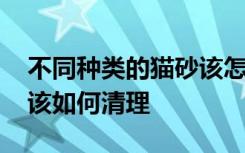 不同种类的猫砂该怎么清理 不同种类的猫砂该如何清理