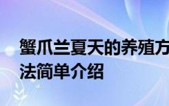 蟹爪兰夏天的养殖方法 蟹爪兰夏天的养殖方法简单介绍