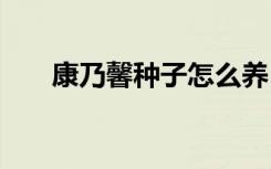 康乃馨种子怎么养 康乃馨种子如何养