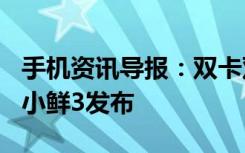 手机资讯导报：双卡双通全网通售990元中兴小鲜3发布