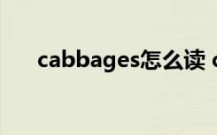 cabbages怎么读 cabbages英文解释