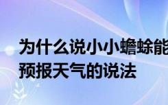 为什么说小小蟾蜍能预报天气 说小小蟾蜍能预报天气的说法