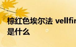 棕红色埃尔法 vellfire威尔法和埃尔法的区别是什么