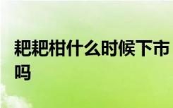 耙耙柑什么时候下市 耙耙柑3月份左右下市对吗