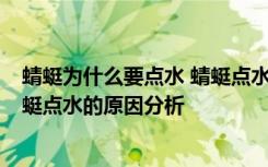 蜻蜓为什么要点水 蜻蜓点水的原因分析 蜻蜓为何要点水 蜻蜓点水的原因分析