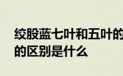 绞股蓝七叶和五叶的区别 绞股蓝七叶和五叶的区别是什么