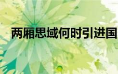 两厢思域何时引进国内 两厢思域何时引进