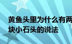 黄鱼头里为什么有两块小石头 黄鱼头里有两块小石头的说法