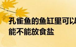 孔雀鱼的鱼缸里可以放食盐吗 孔雀鱼的鱼缸能不能放食盐