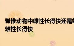 脊椎动物中雌性长得快还是雄性长得快 脊椎动物中雌性还是雄性长得快