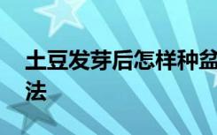 土豆发芽后怎样种盆栽 土豆发芽后的盆栽方法