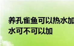 养孔雀鱼可以热水加冷水吗 养孔雀鱼热水冷水可不可以加