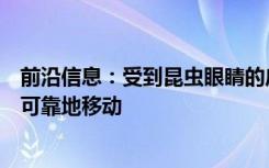 前沿信息：受到昆虫眼睛的启发这款相机可帮助无人机快速可靠地移动