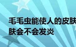 毛毛虫能使人的皮肤发炎吗 人接触毛毛虫皮肤会不会发炎